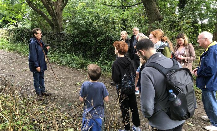 There is an abundance of wild forageable materials around the Cathedral Close where we can revive the lost knowledge of the benefits of nature's bount